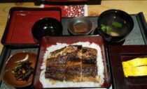 久々の鰻の効能頂きます