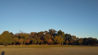 スマホ2台持ちは避けたいところ