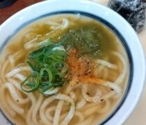 こぶは腸内環境を整えます