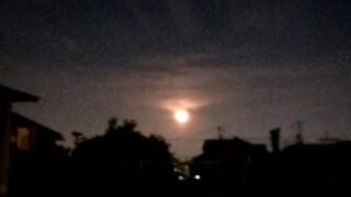 明日から終末ですが早めにお休み