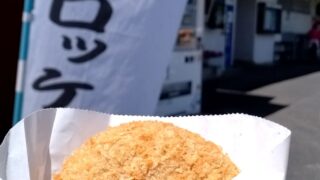 本日の走行398Km