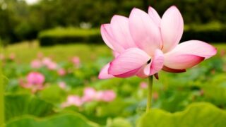 三作それぞれ考えました