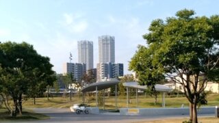 おいしいものにはお連れが必要