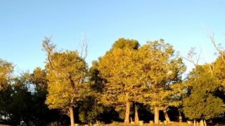 朝の出発遅くなりました