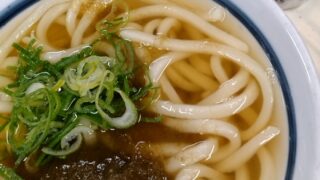 明日は水草投入します