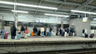 訪日外国人を「訪日外客」というそうです