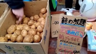 日本一早い新じゃがの名前は「春のささやき」
