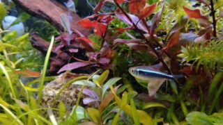 明日から残りは９営業日