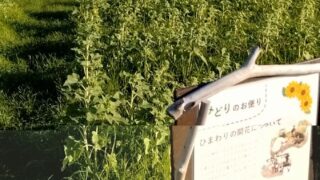 胴着の着こなし