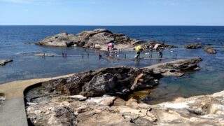 小学校の海の中の元プール