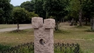 やっこねぎがアクセント