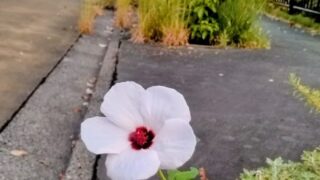 連休初日の旨いもの