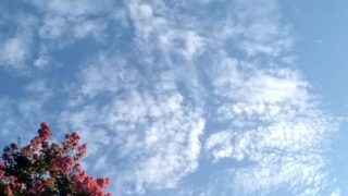 日照時間は12時間