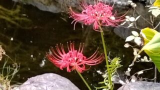 金曜日休んで3連休