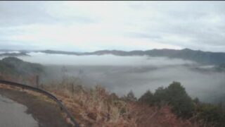 AIに腕前はありません