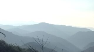 車酔い坊主の2日目